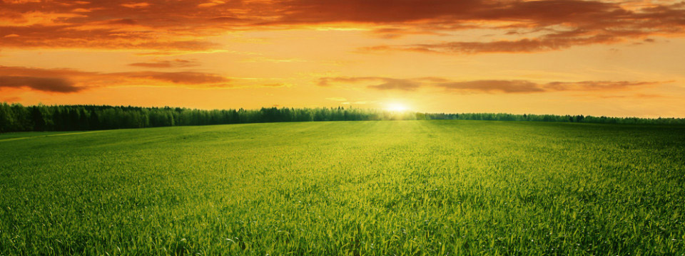 green technology to kill bacteria remove mould hydroxyl generator