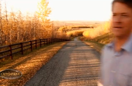 deep clean hospitals remove ethylene vegetable storage kill bacteria food production clean smoke damage insurance claims